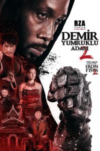 Demir Yumruklu Adam 2 (2015) poster