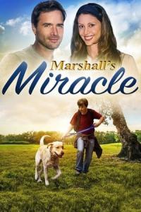 Marshall the Miracle Dog (2015) poster