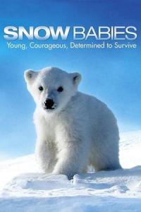 Snow Babies (2012) poster