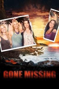 Gone Missing (2013) poster