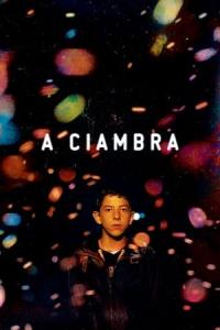 A Ciambra (2017) poster