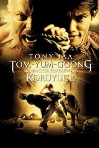 Koruyucu (2005) poster