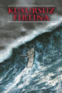 Kusursuz fırtına (2000) poster