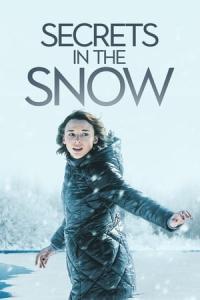 Secrets in the Snow (2020) poster