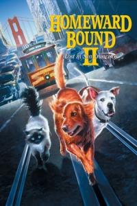 Homeward Bound II: Lost in San Francisco (1996) poster