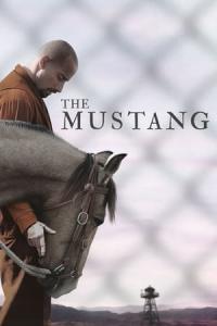 Mustang: Yabani At (2019) poster