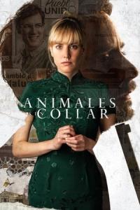 Animales sin collar (2018) poster