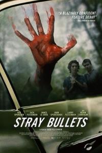 Stray Bullets (2017) poster