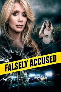 Falsely Accused (2016) poster