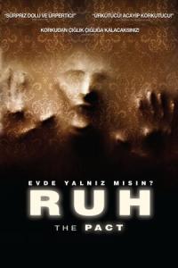 Ruh (2012) poster