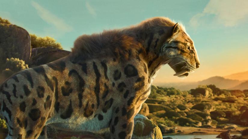 Gezegenimizde Yaşam Arkaplan