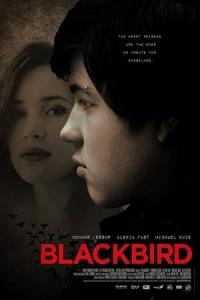 Blackbird (2012) poster