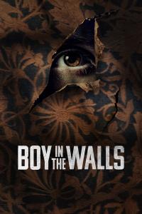 Boy in the Walls (2023) poster