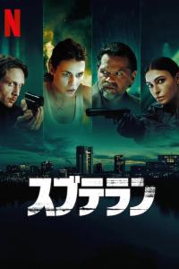 Gizli İntikam afişi