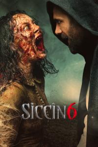 Siccin 6 (2019) poster