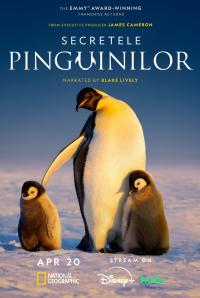 Penguenlerin Gizemli Dünyası (2025) poster
