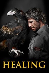 Healing (2014) poster