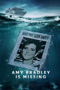 Amy Bradley Is Missing afişi