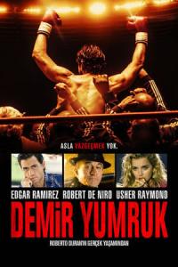 Demir Yumruk (2016) poster