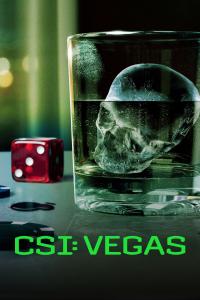 CSI: Vegas afişi
