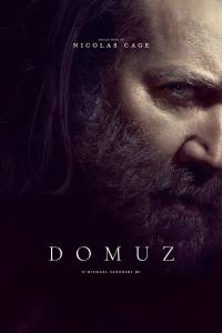 Domuz (2021) poster