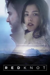 Red Knot (2014) poster