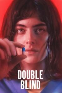 Double Blind (2024) poster