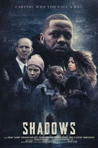 In the Shadows (2023) poster