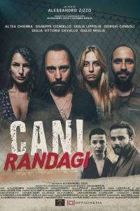 Cani randagi (2023) poster