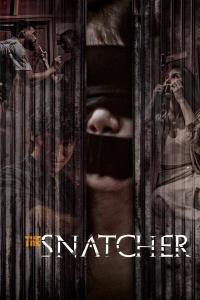 The Snatcher (2024) poster
