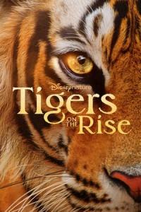 Tigers on the Rise (2024) poster