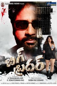 Big Brother (2024) poster