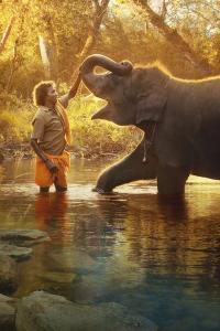 The Elephant Whisperers (2022) poster