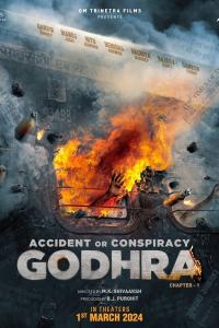 Accident or Conspiracy: Godhra (2024) poster