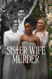 Sister Wife Murder (2024) poster