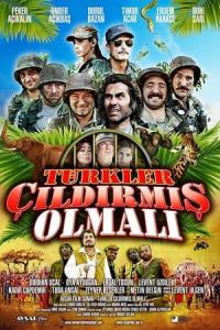 Türkler Çıldırmış Olmalı (2009) poster