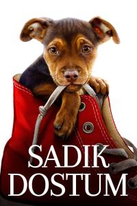 Sadık Dostum (2019) poster